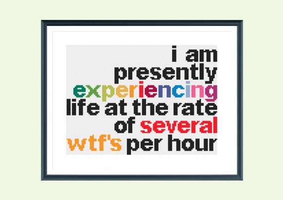 Download Funny cross stitch pattern experience life instant download