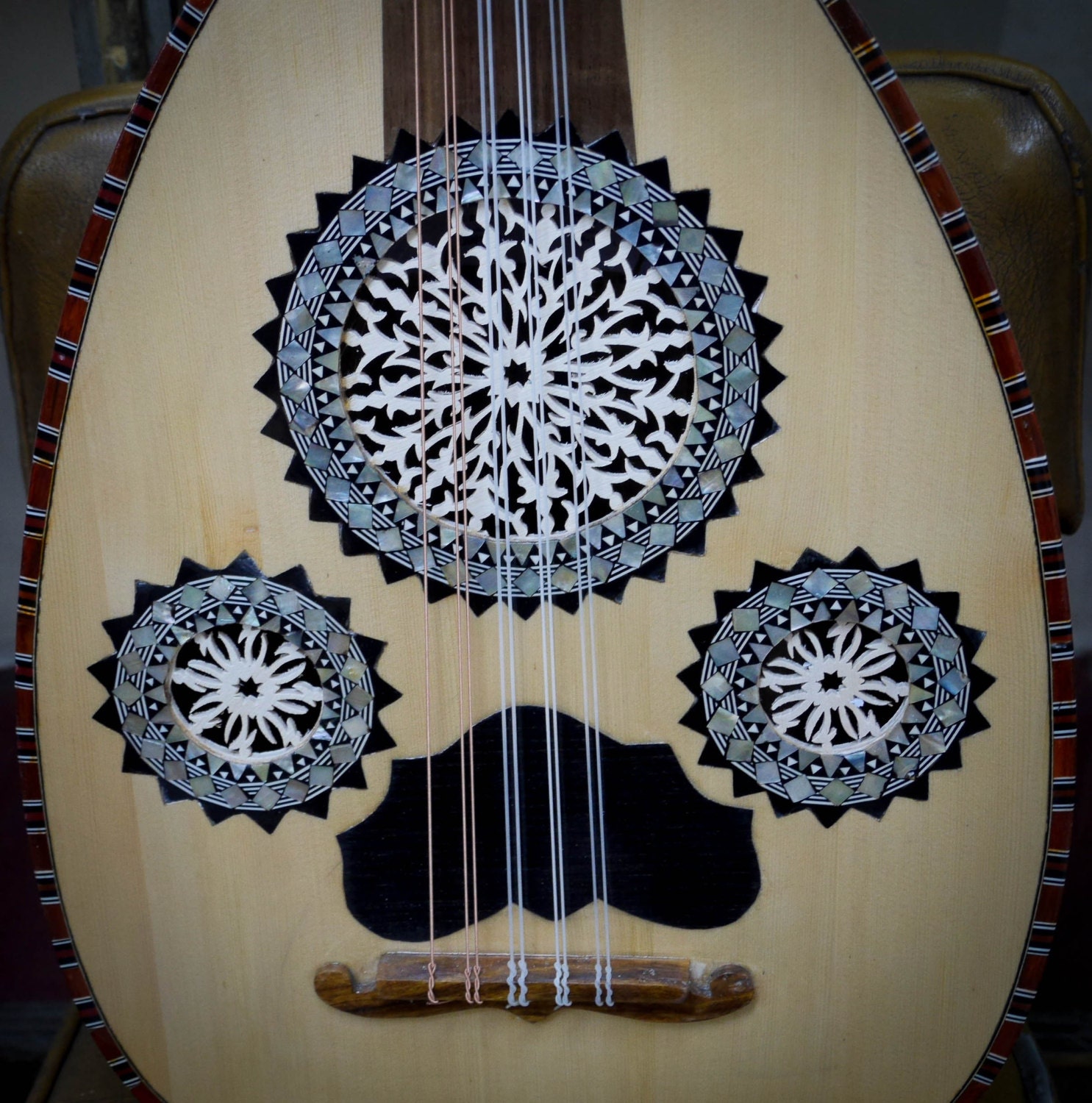 Egyptian lute OUD with a soft case