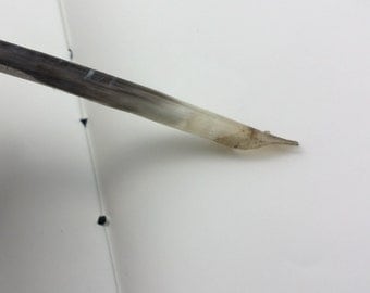 Turkey Feather Quill Pen Natural Tip Hand-cut - RIGHT HANDED