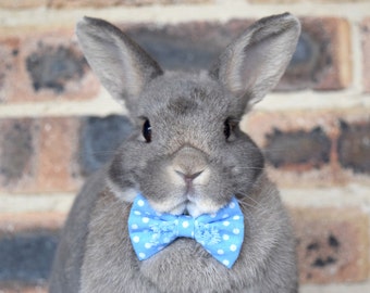 Wholesale Rabbit Clothes Accessories Habitat Accessories Habitat Décor Starter Kits Terrariums. Clothing & Shoes Bandanas, Bows & Hats Costumes Dresses Life Jackets & Swim Suits Shoes & Socks Sweaters & Coats What You'll Need for Your New Pet Rabbit A checklist with everything bunnies need. Facebook Pinterest.