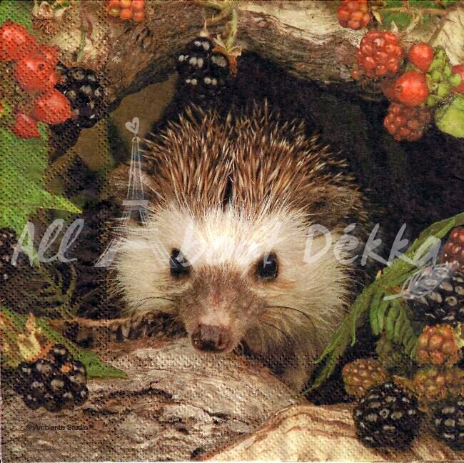 Decoupage Napkins Animals Set of 4 Hedgehog Cat Dog