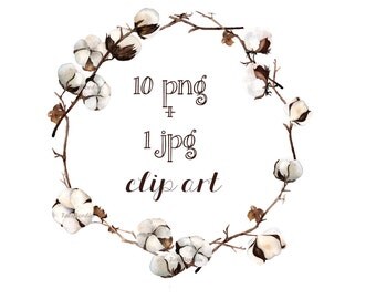 Watercolor Cotton Clip Art + Wreath 10 PNG + 1 JPG