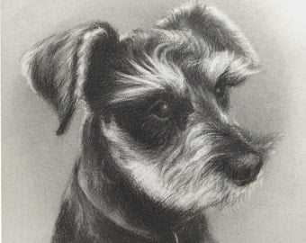 Items similar to 9"x 11 Custom pet portrait on Etsy