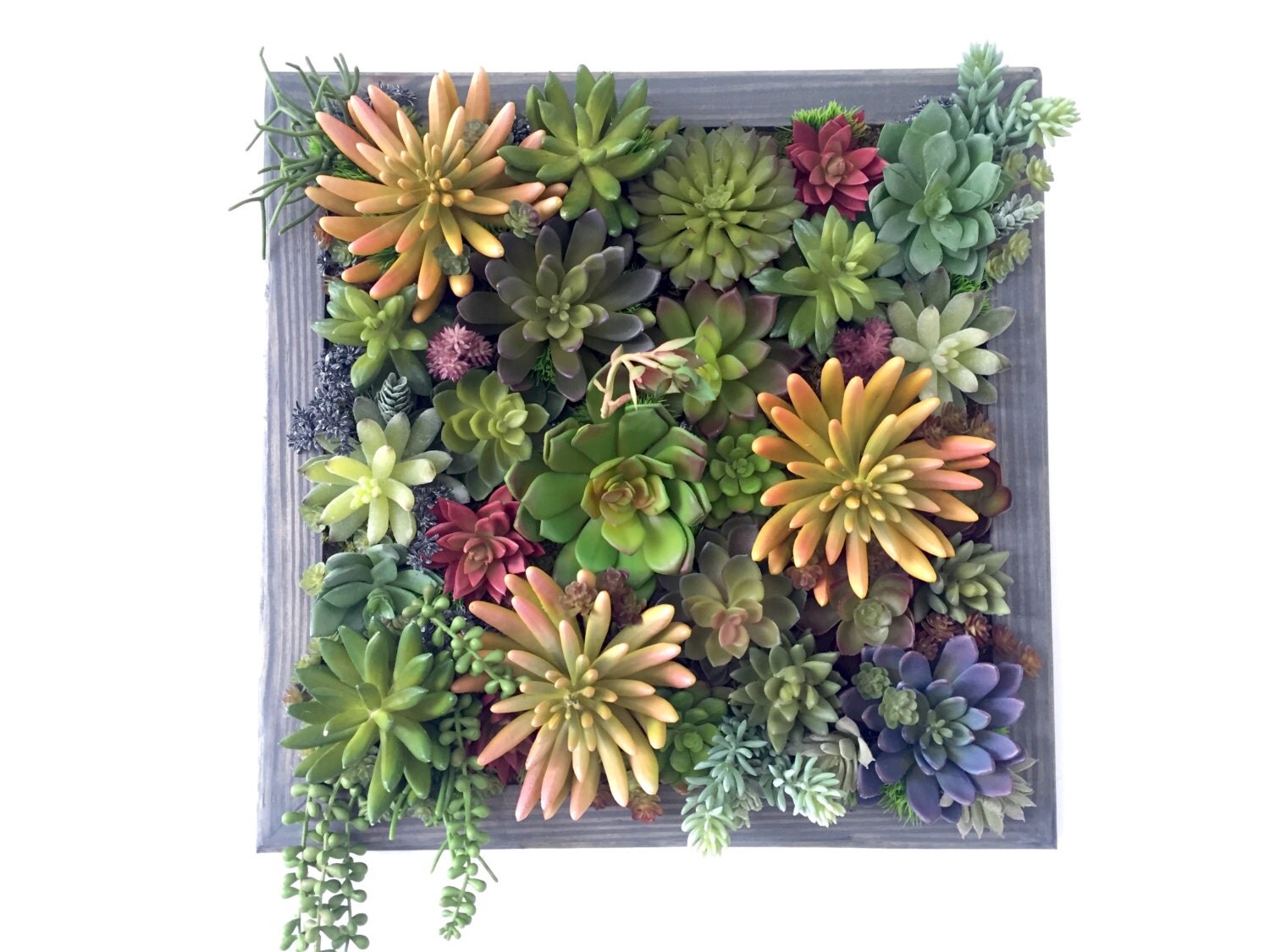 Succulent Arrangement Artificial Succulent Wall Garden