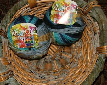 Lot of 2 skeins of Adriafil Knitcol Trends Made in Italy Color No 043 Lot No 014 Crochet Knit