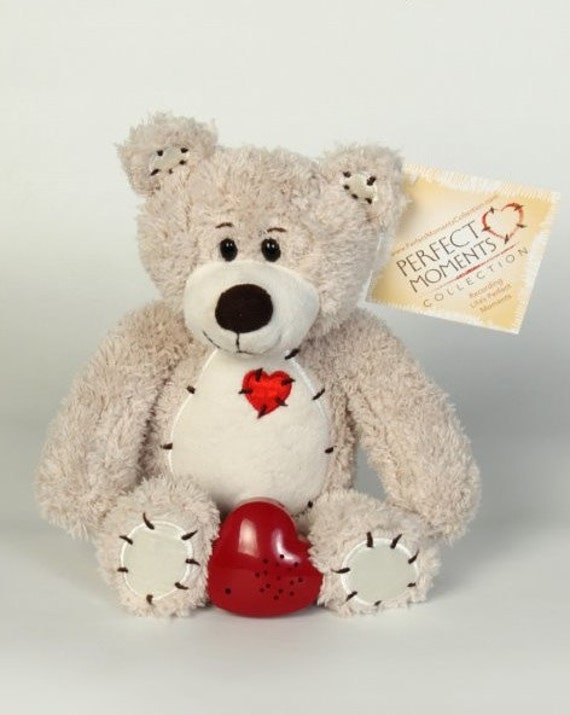 voice memo teddy bear