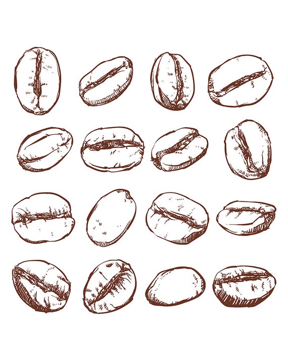 Free Free 325 Clipart Coffee Bean Svg SVG PNG EPS DXF File