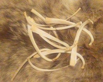 Deer rib bones | Etsy