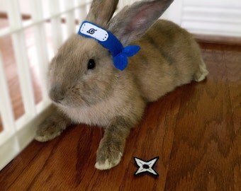 Pet Rabbit Naruto Costume, Pet Rabbit Accessory, Pet Rabbit Costume, Naruto Headband, Naruto Headband & Shuriken