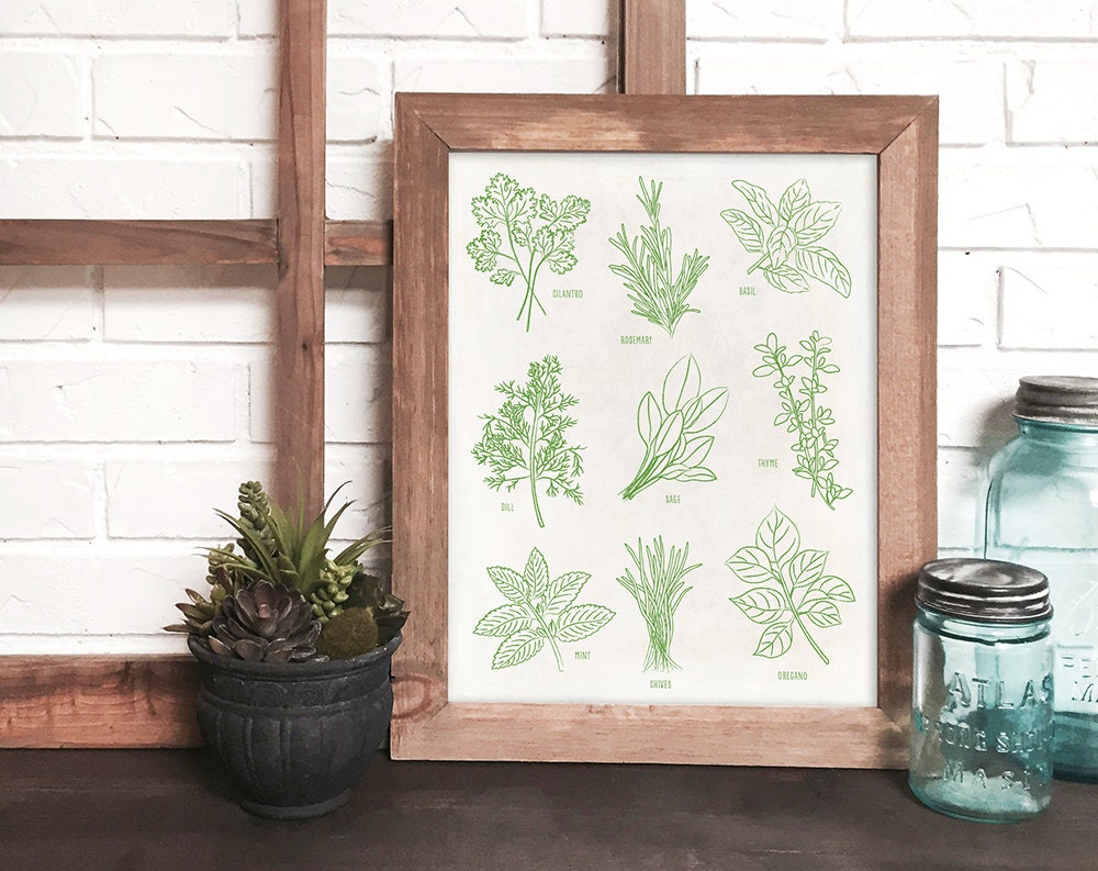botanical kitchen print plant print herb kitchen art