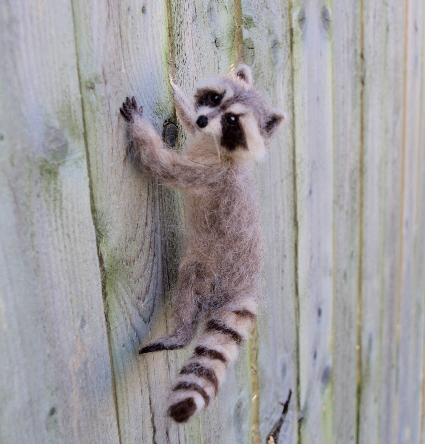 Needle Felted Raccoon Poseable