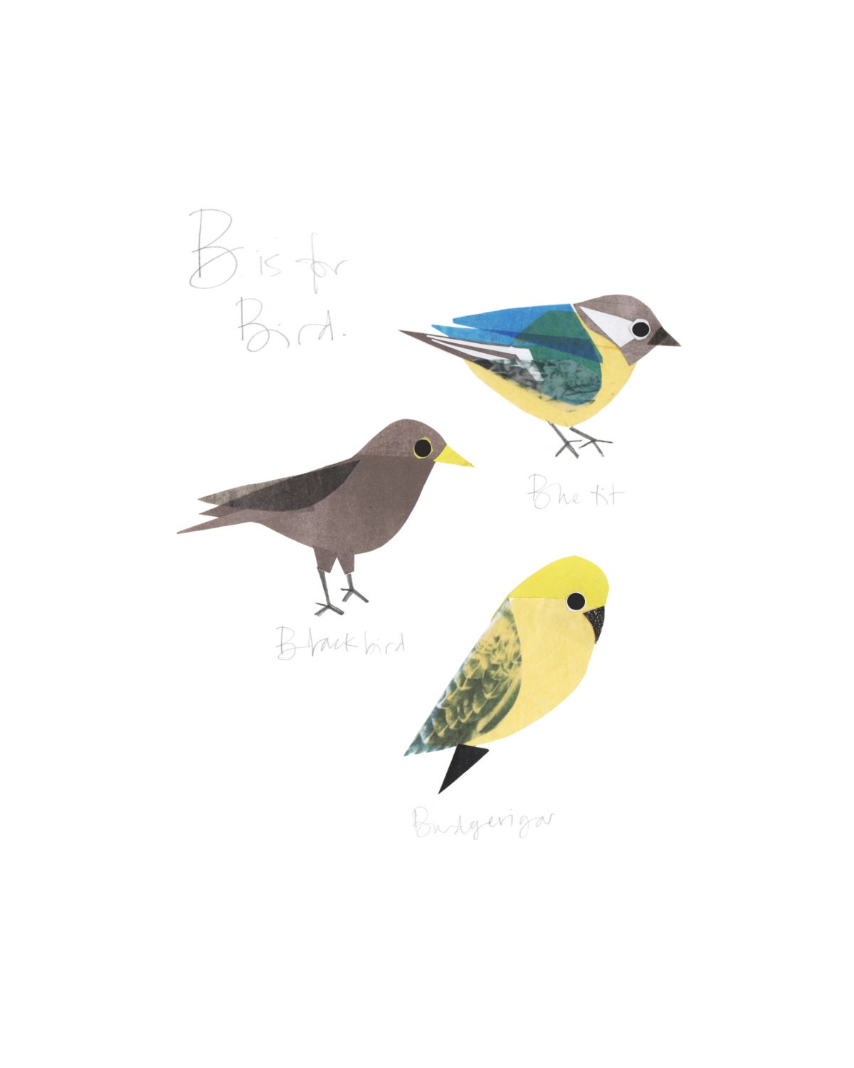 B Is For Bird Art Print Open Edition