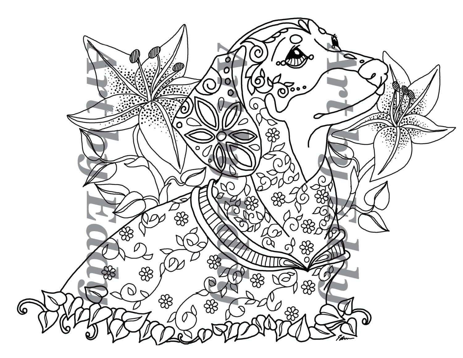 Dachshund Coloring Pages 4
