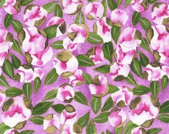 x7 photo Spring buds of a Maple Tree bursting