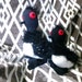 becky the loon plush