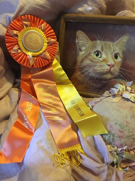 Vintage CFA CAT Show Satin Ribbon Rosette Award 5th Best