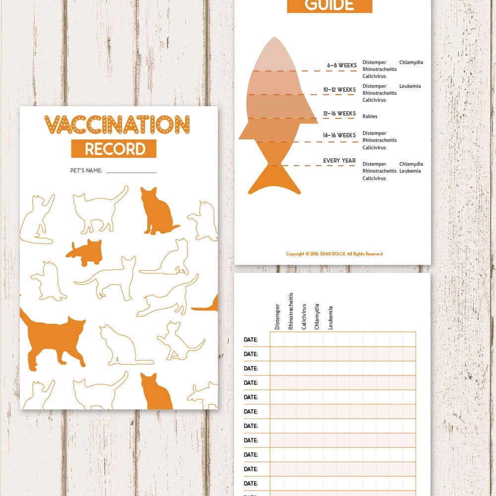 Printable Cat Vaccine Health Record Pet Care Record Book