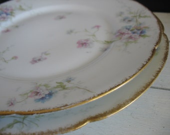 Vintage Theodore Haviland Limoges Plates
