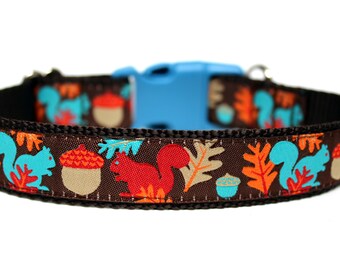 Squirrel Dog Collar 1" Fall Dog Collar
