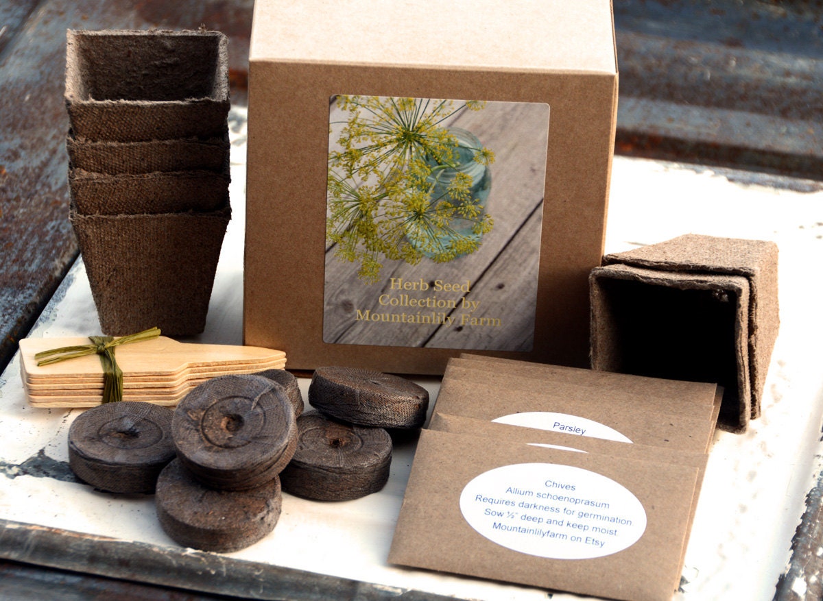 Herb Garden Gift Set Heirloom Herb Seeds Gift Box Heirloom