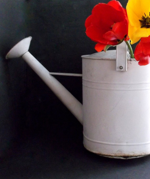 Vintage Galvanized Watering Can Rustic Watering Can Painted