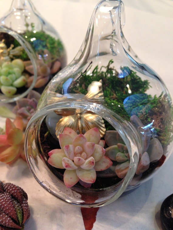 butterfly miniature hand blown glass terrarium garden gift butterfly miniature hand blown glass terrarium garden gift