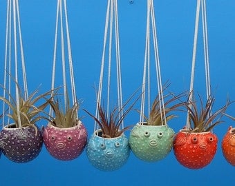Large, Hanging Puffer Fish Planters, Air Plants, Succulents