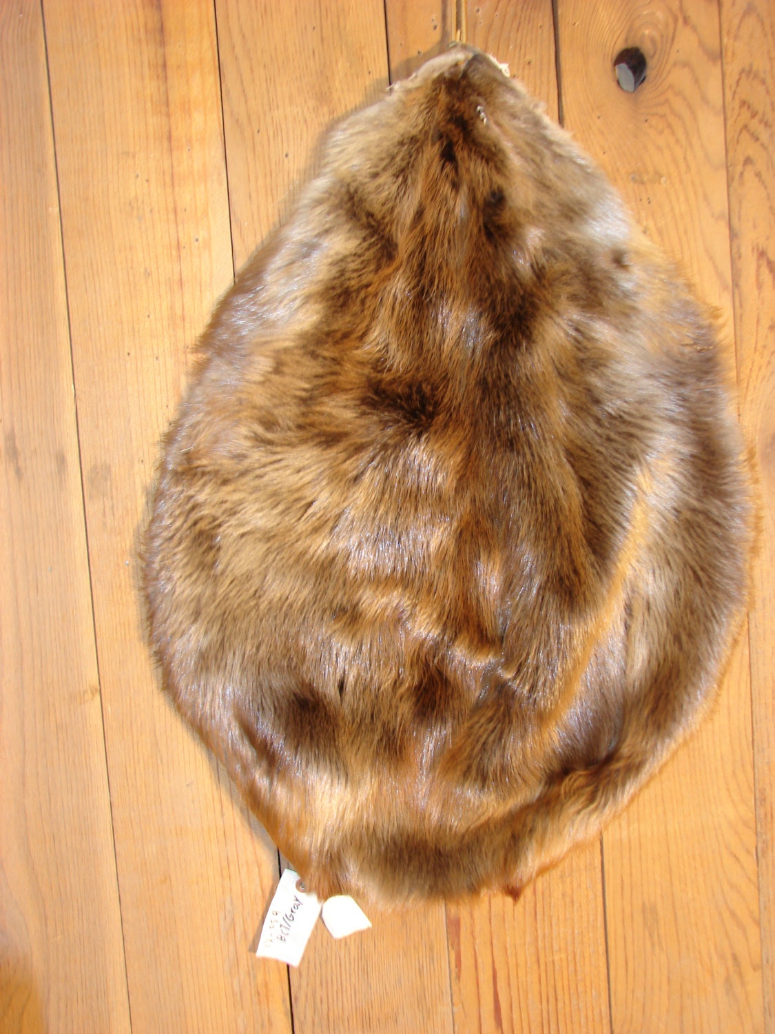 Beaver Pelt 13059 taxidermy fur animal rug tanned hide