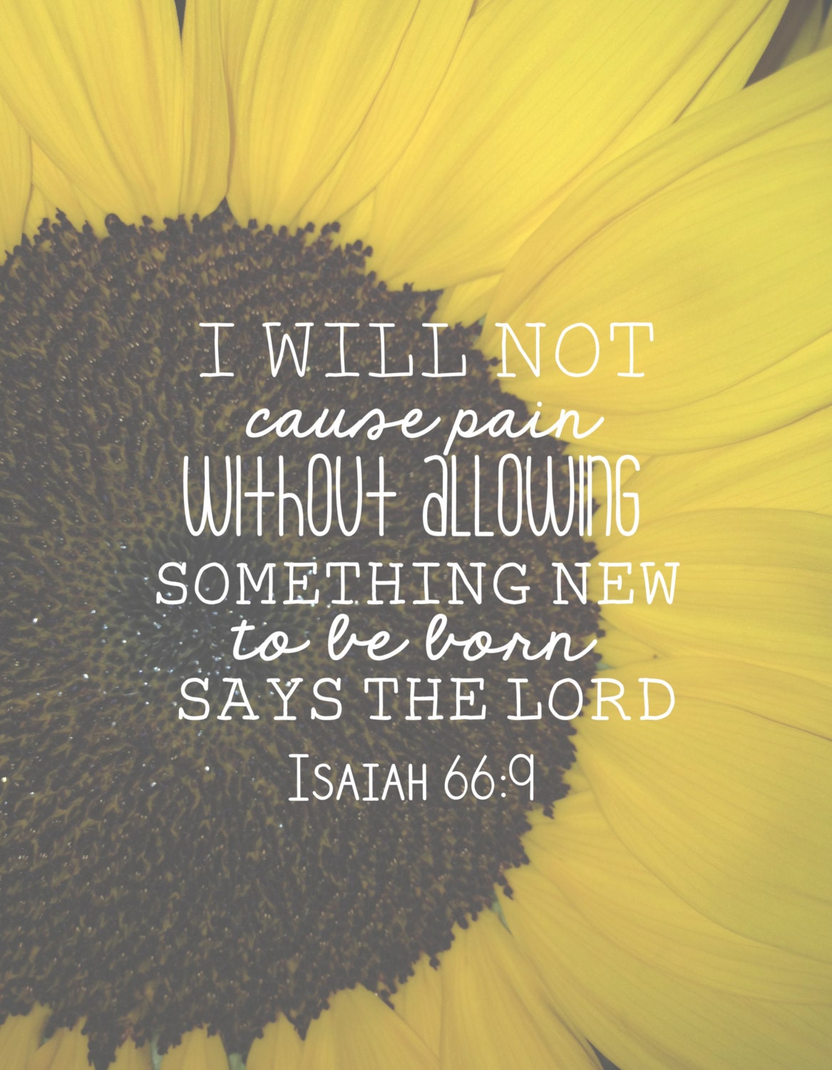 isaiah-66-9-i-will-not-cause-pain-without-allowing