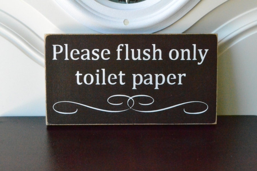 Flush essay 07 picture