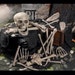 lilturkey666