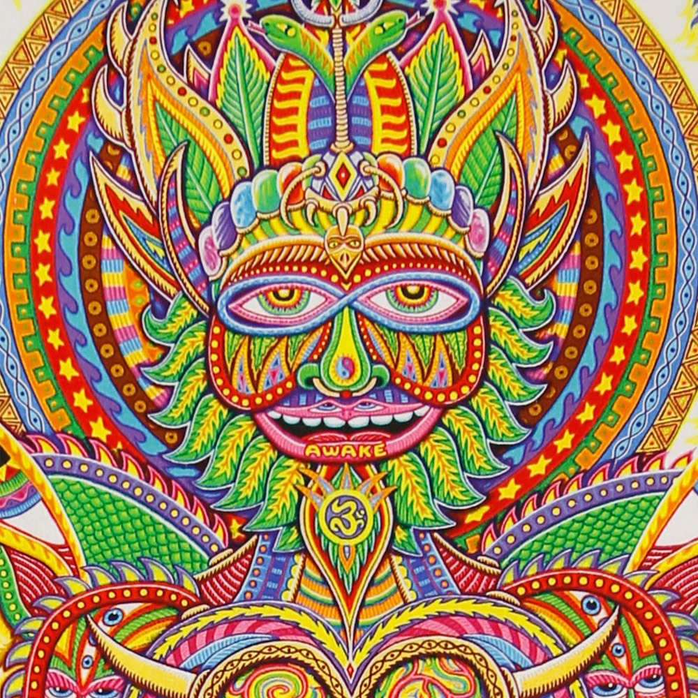 Psychedelic Human Evolution 3D Tapestry 53 X 85