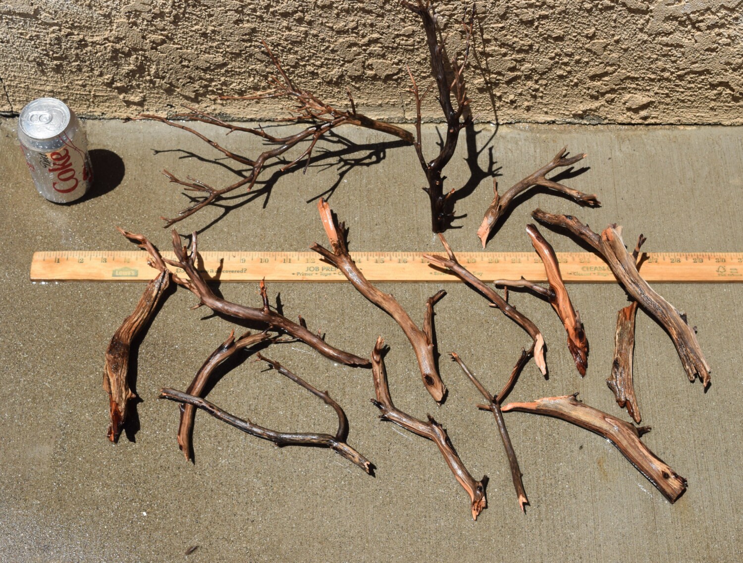 MANZANITA DRIFTWOOD mini nano group 15 pieces moss plant