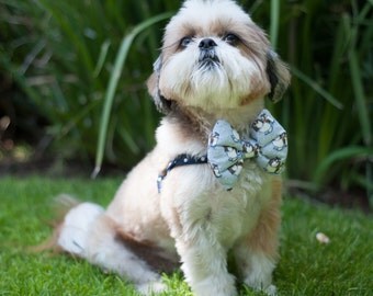 The Cooper // Dog Harness w/ Bow Tie, bow-tie, male dog harness, easy on dog harness, slip on dog harness, shih tzu harness, shitzu harness