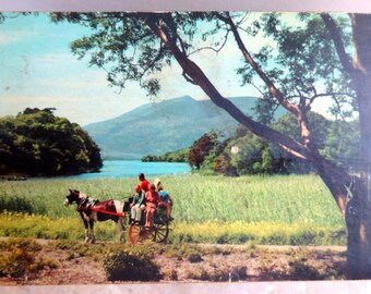 Wooden Music Box Souvenir of Killarney, Ireland Mid-Century style