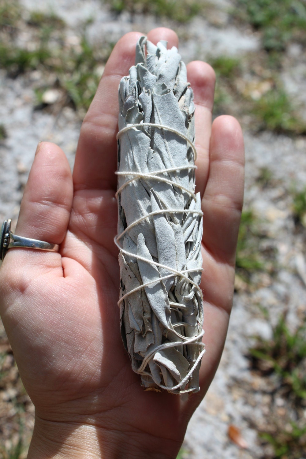 Natures Gift Sage Bundle