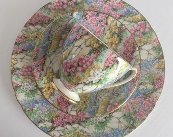 Vintage Shelley Chintz Tea Cup & Saucer Rock Garden Pattern Ripon Shape