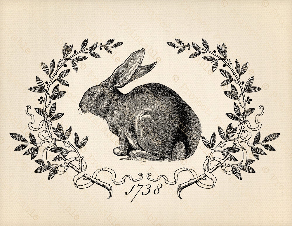 Vintage Bunny Rabbit 25