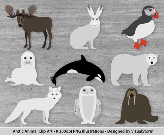 free clip art arctic animals - photo #30