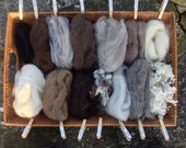 50gm selection of wool supplies for felting or hand spinning