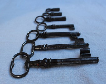 Vintage Skeleton Key Set, a Set of 7 Keys