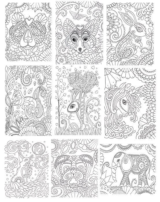 COLORING BOOK 10 page by edwinamcnamee on Etsy