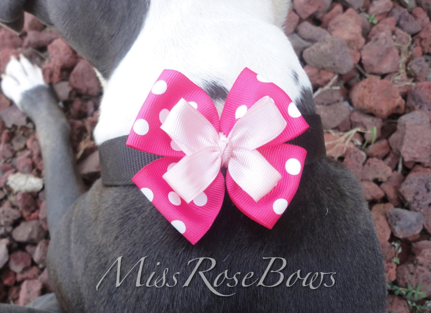 Pink Dog Collar BowPolka Dot Dog Collar by MissRoseBowsAndMore