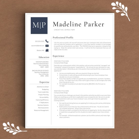 Professional Resume Template For Word & Pages By