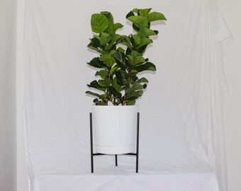 The Naramata - Mid Century Plant Stand Steel