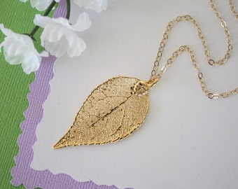 Real Evergreen Leaf, Real Gold Leaf, Evergreen Leaf Necklace, Evergreen Leaf, Gold Filled, Layered, Long NecklaceLC124