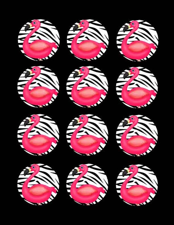 Pink Flamingo Flamingos Party Black and White Zebra Stripes