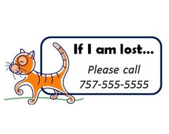 Set of 8+ Custom Temporary Tattoos - Emergency Contact Info / If Lost