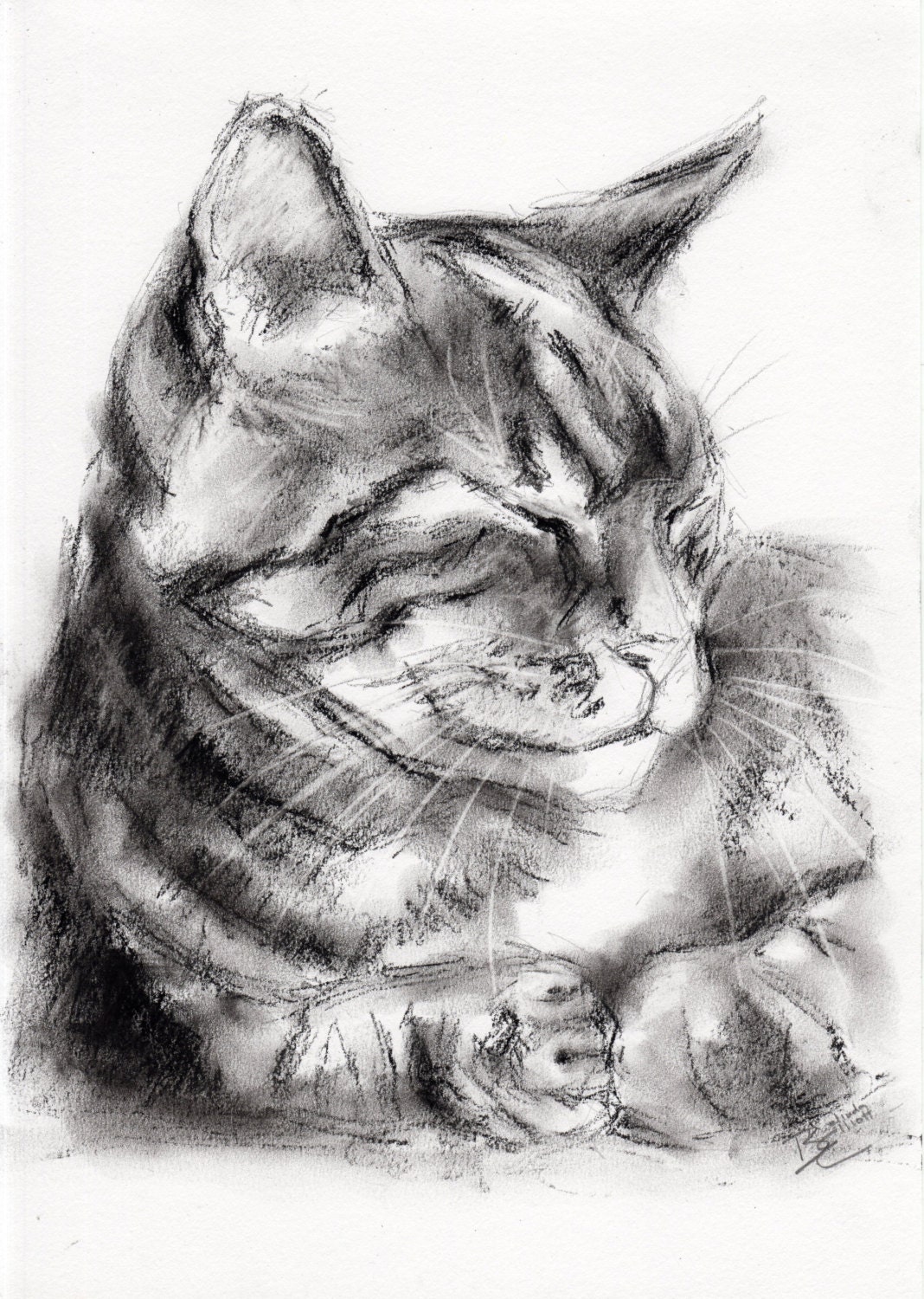 ORIGINAL A4 Charcoal Drawing of a Tabby Cat by BelindaElliottArt