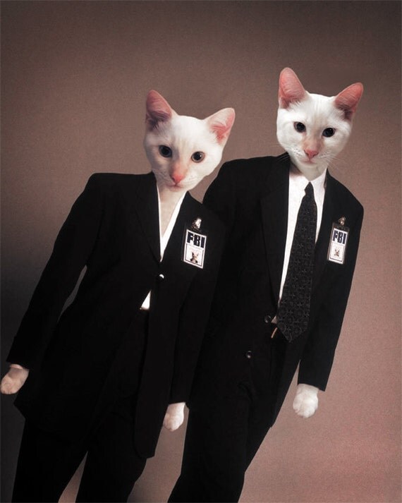 X Files Cat Art Animal Photography XFiles Cats Pet Portrait